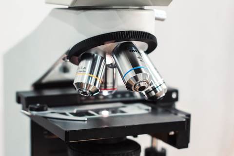 Micron (MU) Earnings Loom as Chip Sector Whipsaws